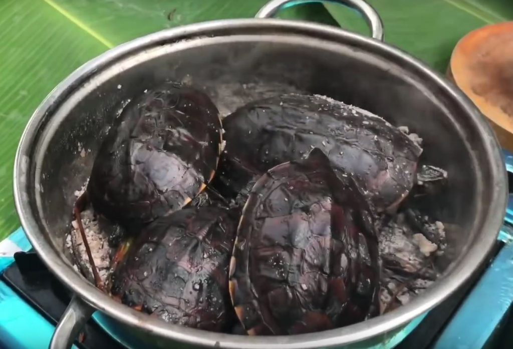 Toasted turtle with salt - Specialty foods of Ca Mau